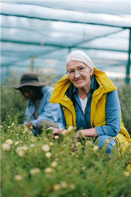3 Steps to Take Before Renting a Homestead for your Retirement
